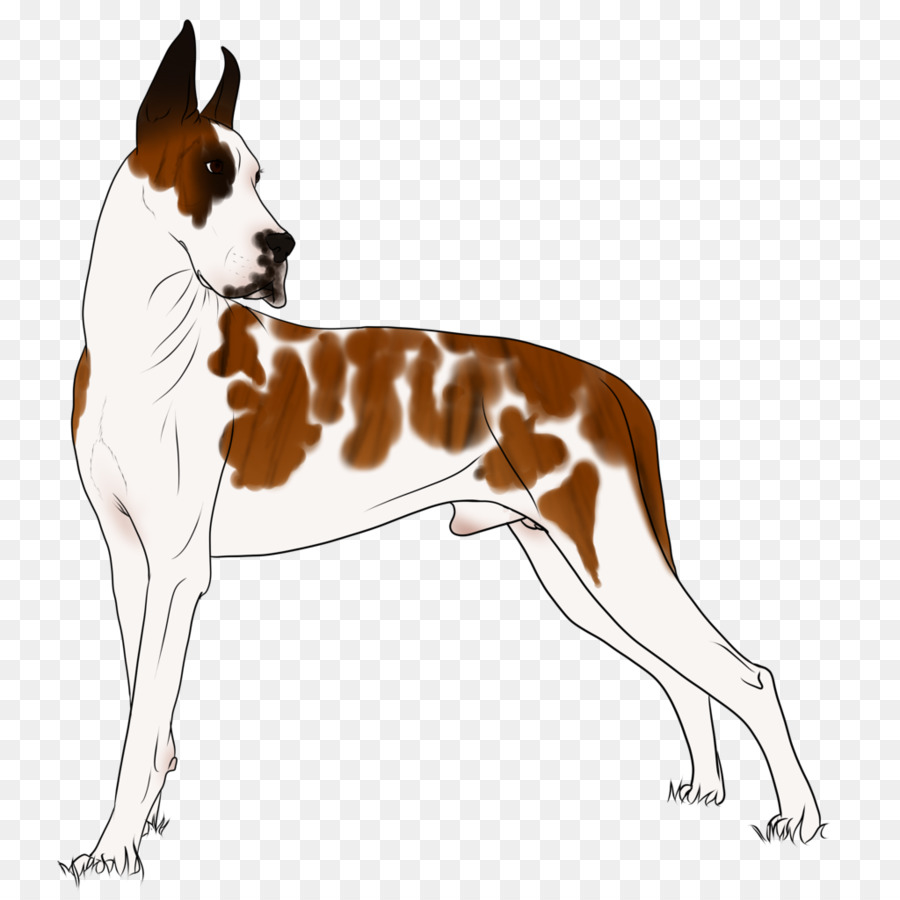 Raza De Perro，Foxhound Inglés PNG