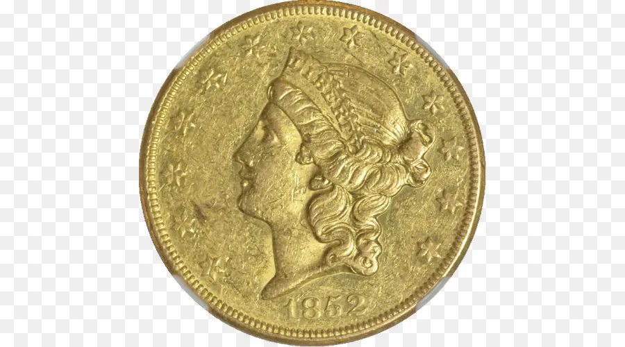 Moneda De Oro，1901 PNG