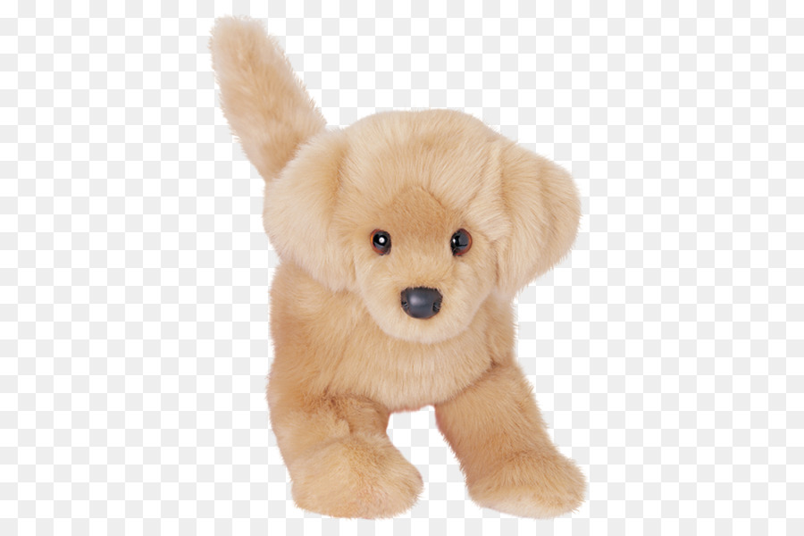 Golden Retriever，Cachorro PNG