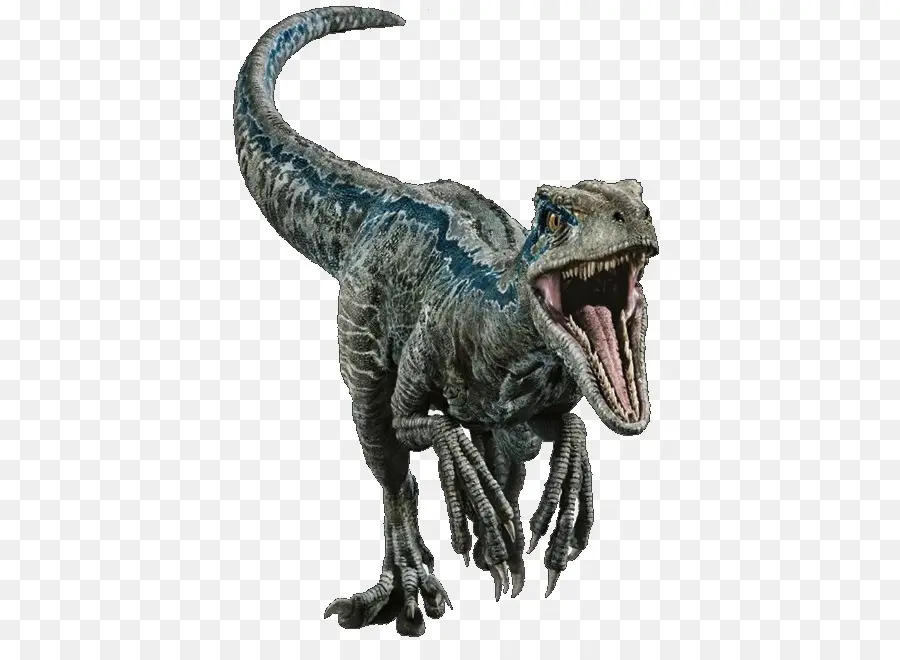 Velociraptor，Tyrannosaurus PNG