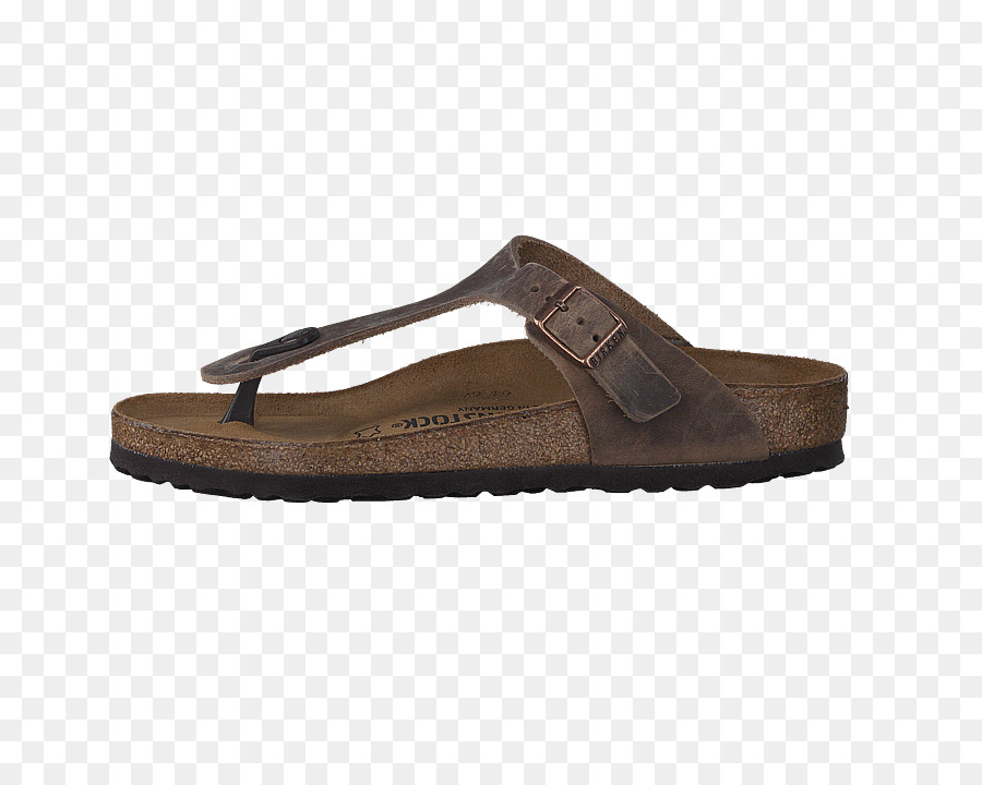 Zapatilla，Sandalia PNG