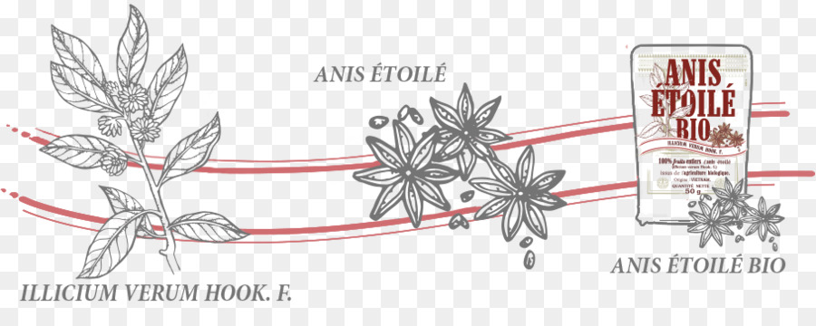 El Anís Estrellado，Anis PNG