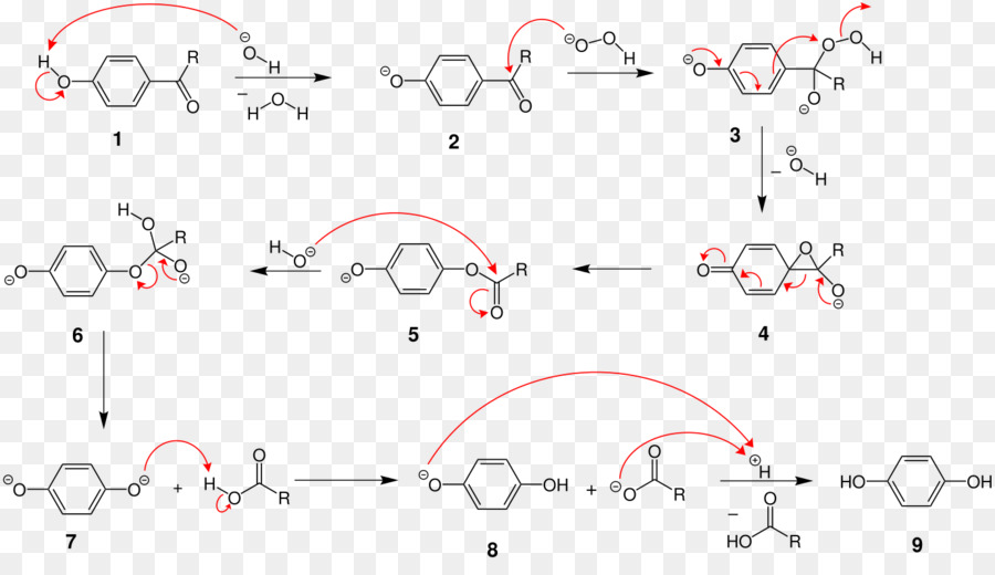 Dakin Oxidación，Redox PNG