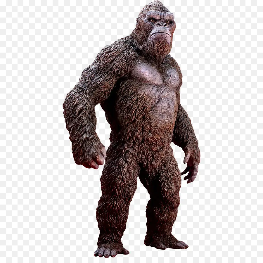 King Kong，Peter Jackson S King Kong PNG