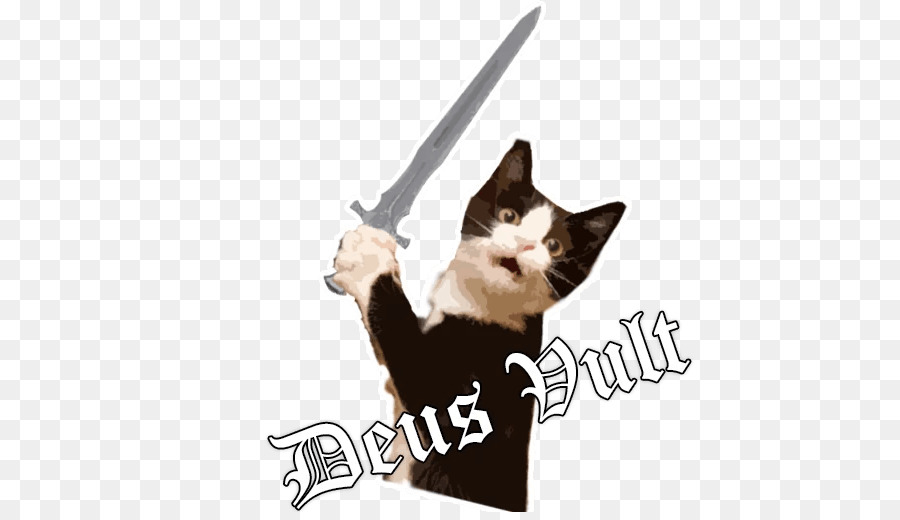 Gato Con Espada，Divertido PNG