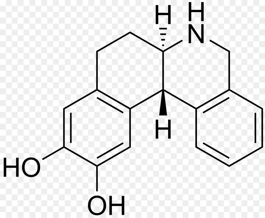 Dopamina，La Norepinefrina PNG