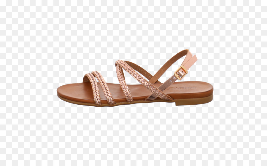 Deslice，Zapato PNG