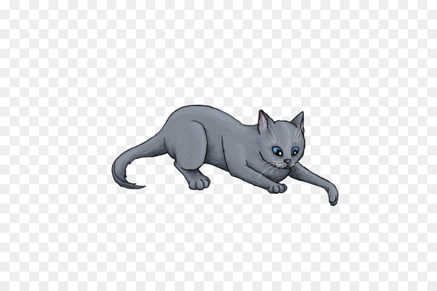 Korat，Gatito PNG