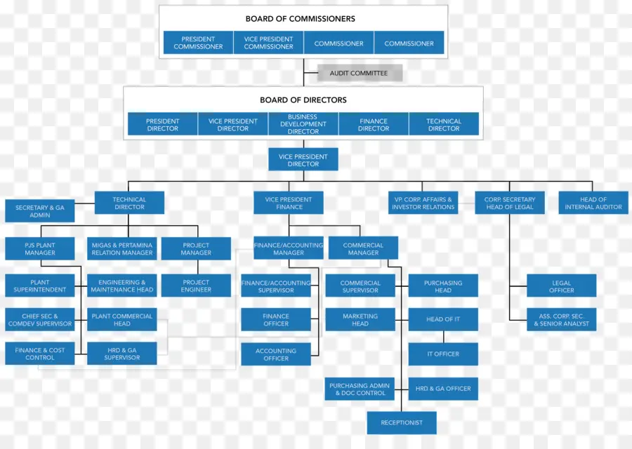 Organización，Diagrama De PNG