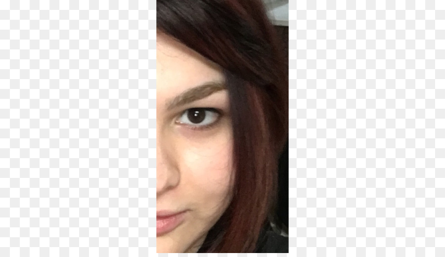 La Coloración Del Cabello，Cabello Castaño PNG