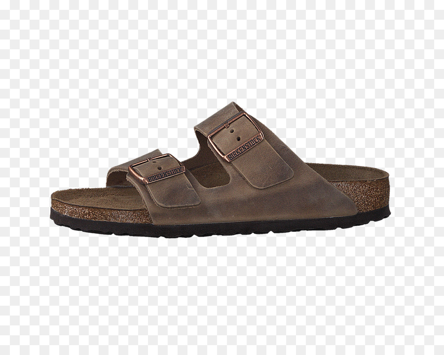 Zapatilla，Amazoncom PNG