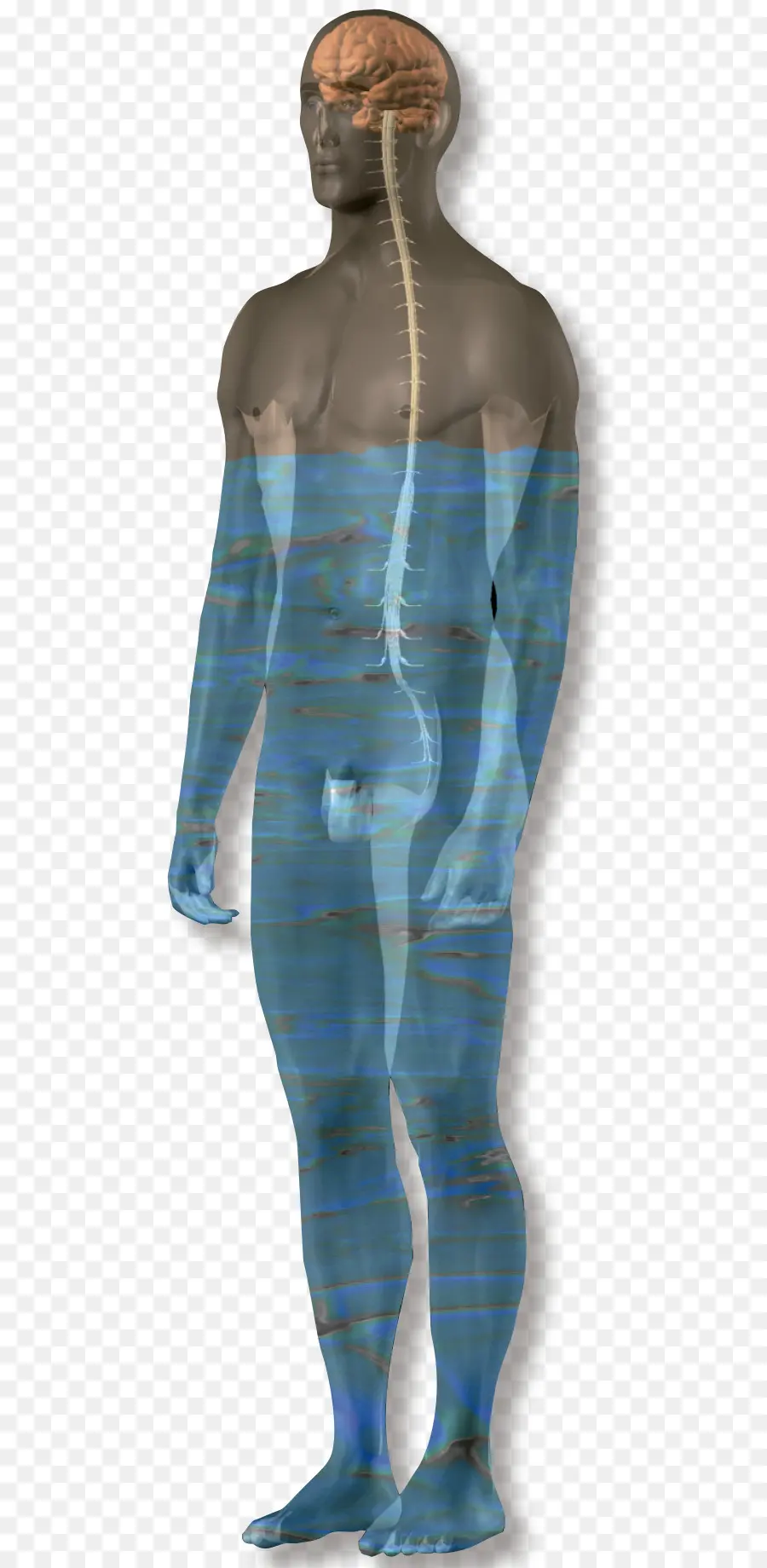 Cuerpo De Agua，Liquido PNG