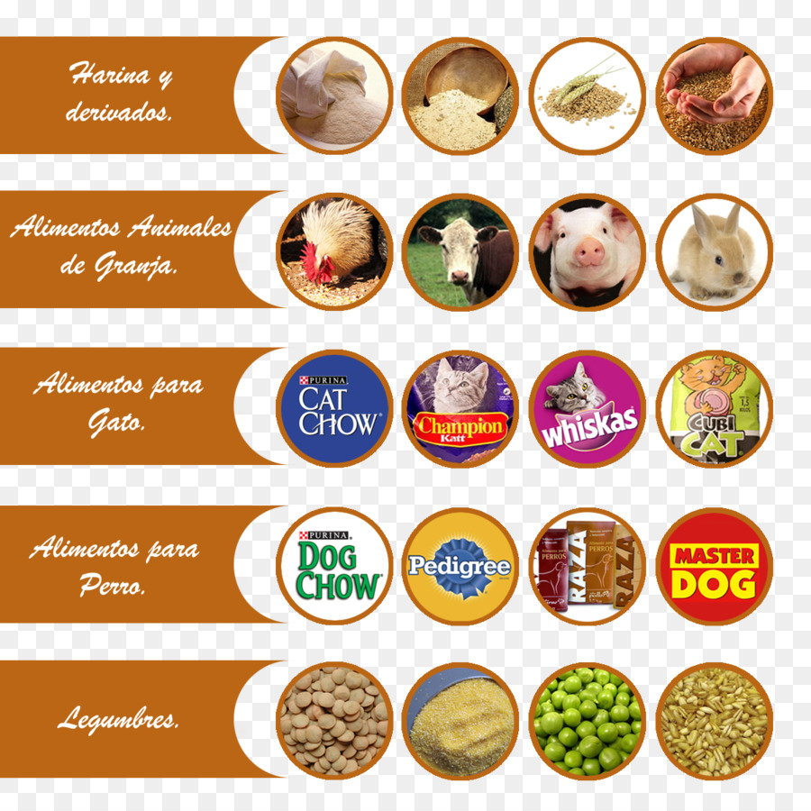 Cocina，Receta PNG