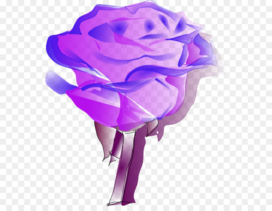 Rosa，Flor PNG