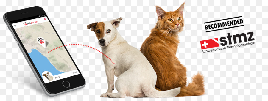 Perro Y Gato，Mascotas PNG