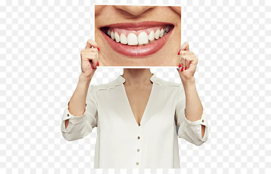 Mujer Sonriente Sosteniendo Fotos De Dientes，Dientes PNG