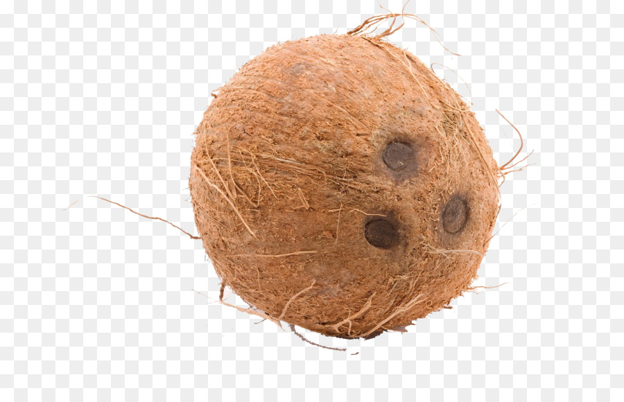 Agua De Coco，Coco PNG