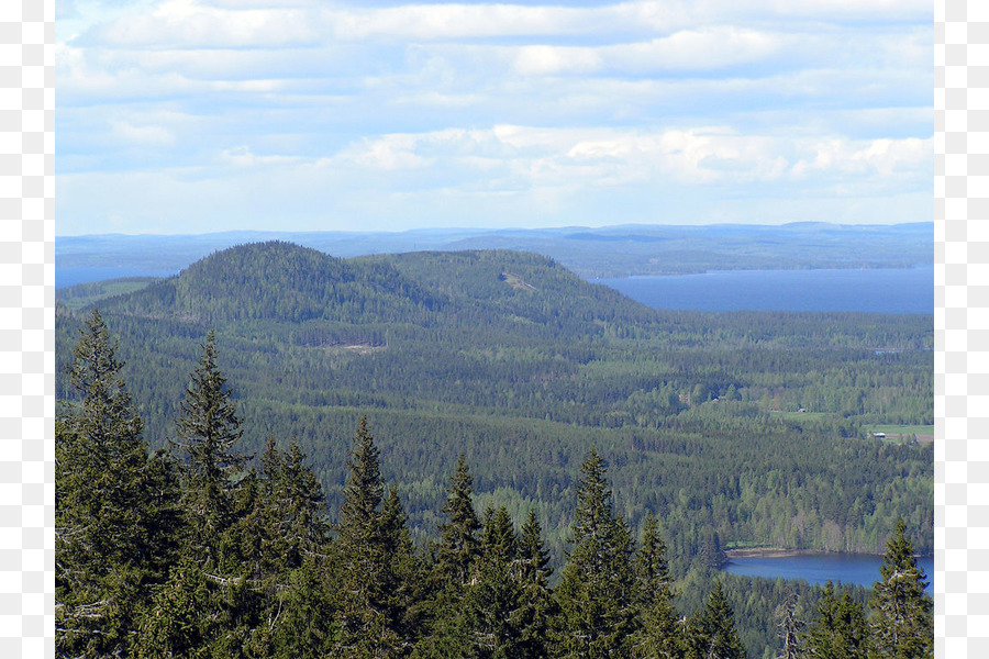 Koli Finlandia，El Parque Nacional De PNG