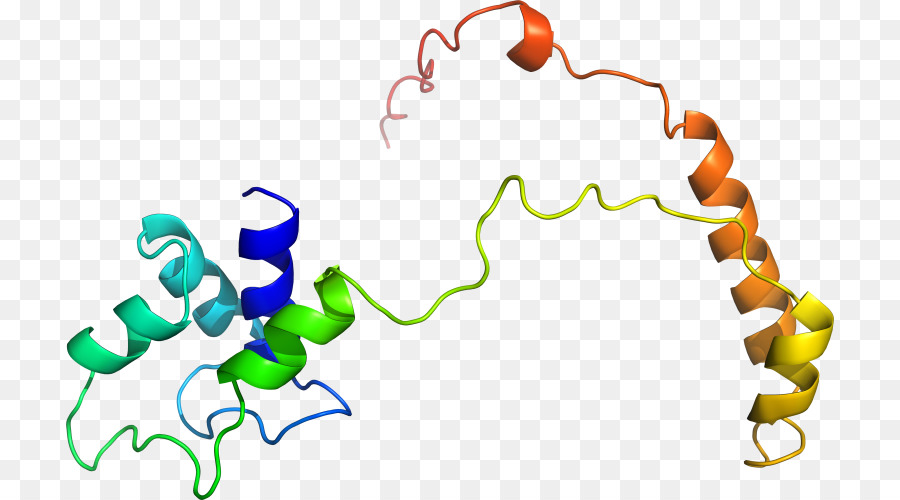 Hélice De Proteína，Molécula PNG