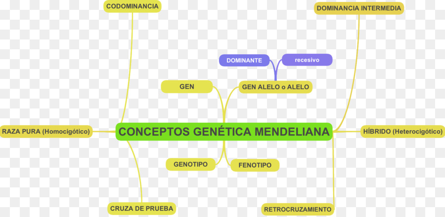 Herencia Mendeliana，Genética PNG