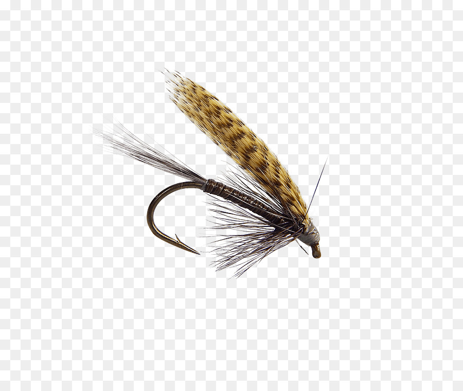 Pluma Gordon，Artificial De La Mosca PNG