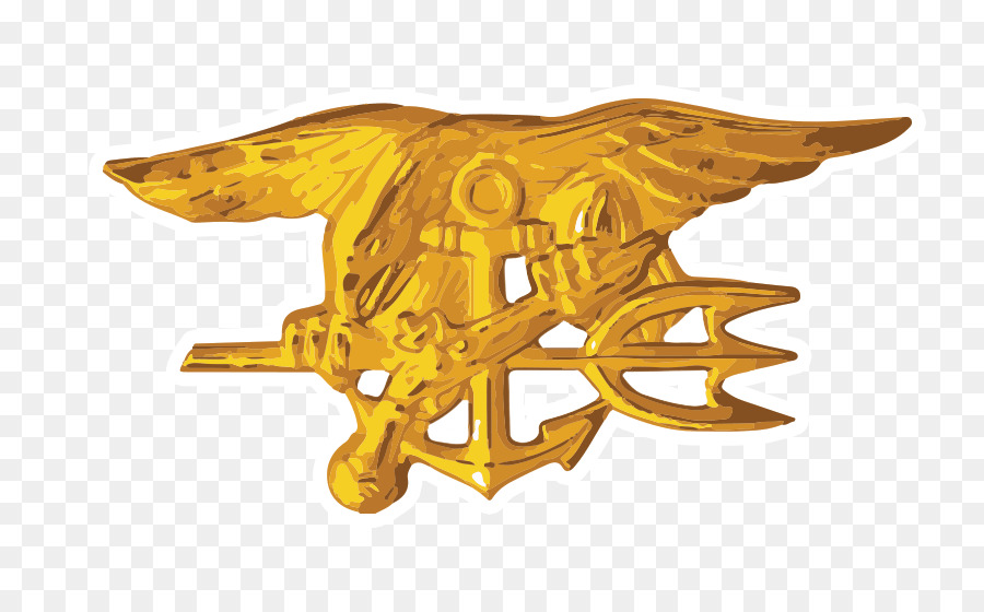 Estados Unidos，Navy Seals De Estados Unidos PNG