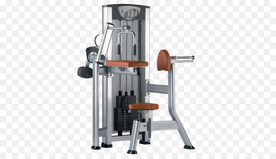 Levantamiento De Pesas De La Máquina，Gimnasio PNG