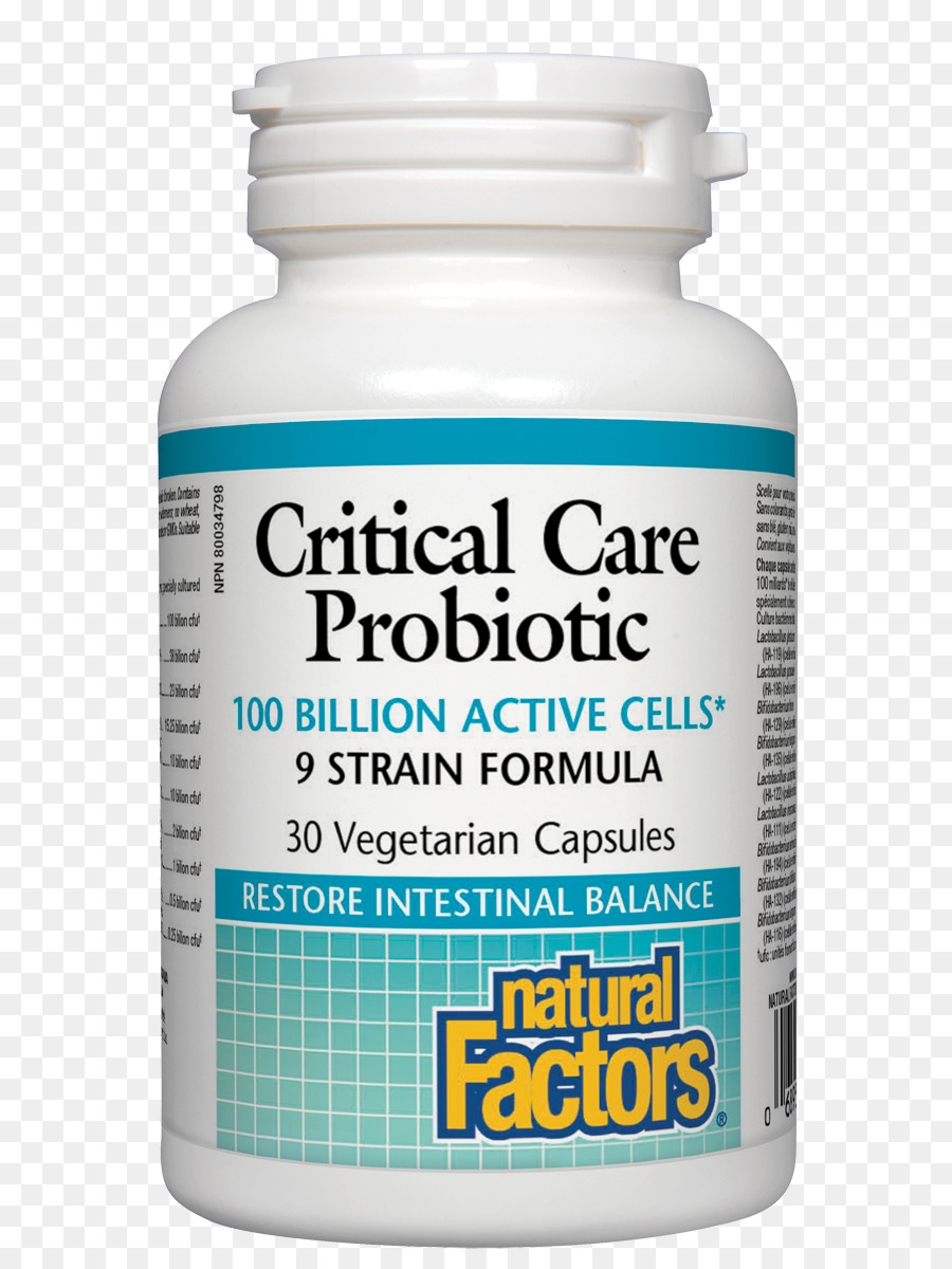 Probióticos，Las Bacterias PNG