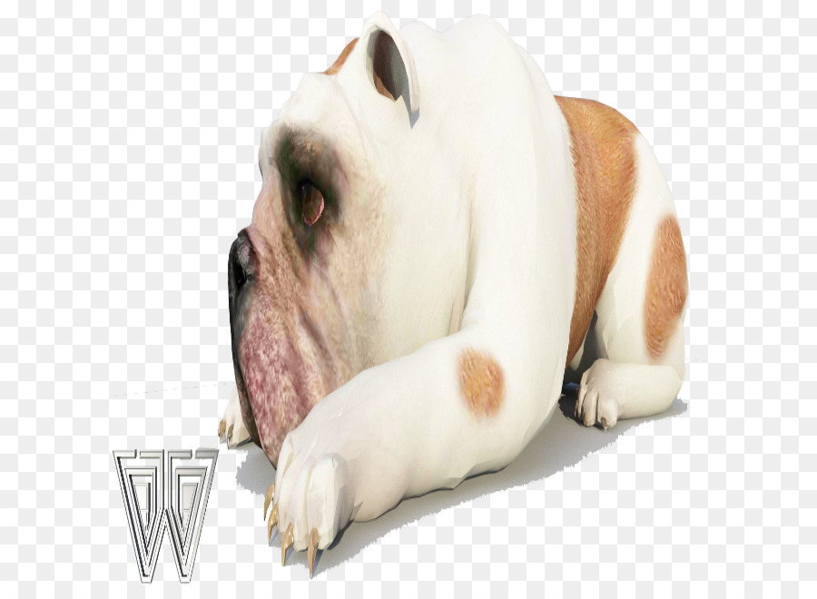 Inglés Antiguo Bulldogge，Americano PNG