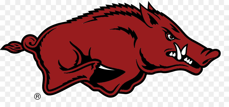 La Universidad De Arkansas，Equipos Universitarios Razorbacks De Arkansas Del Baloncesto De Los Hombres PNG