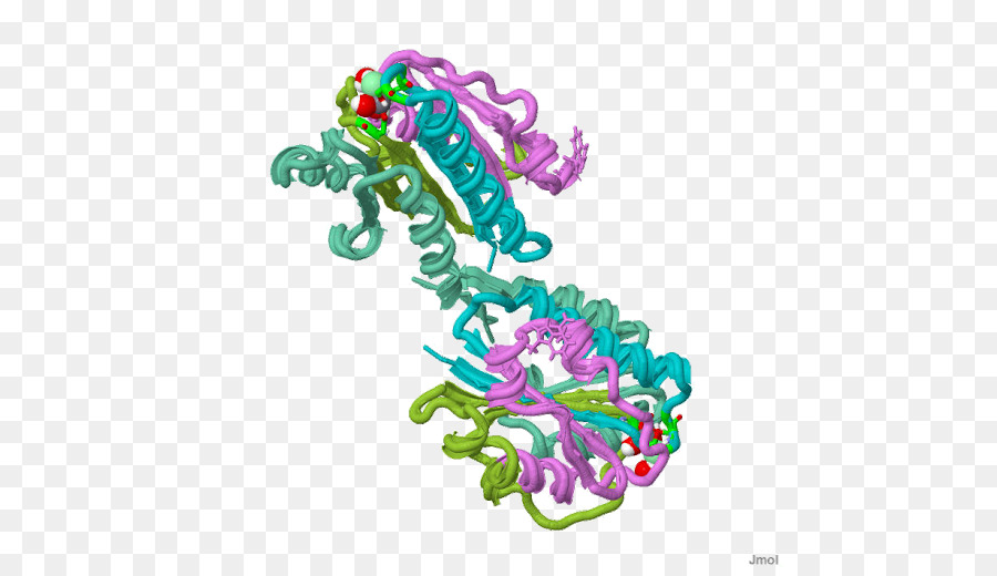 Estructura Proteica，Molécula PNG