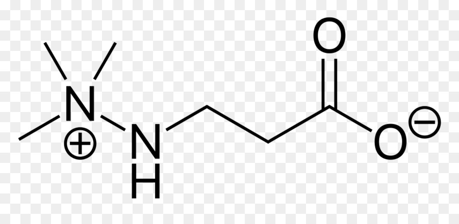 Betamethylaminolalanine，La Alanina PNG