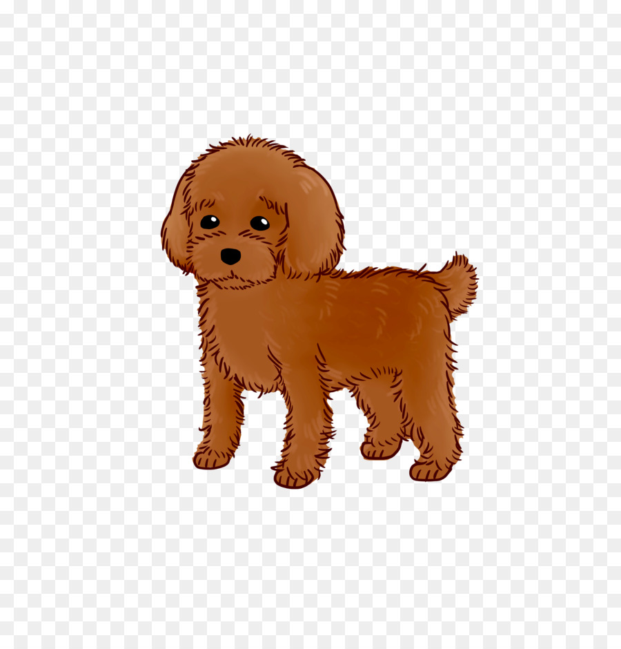 Goldendoodle，Cachorro PNG