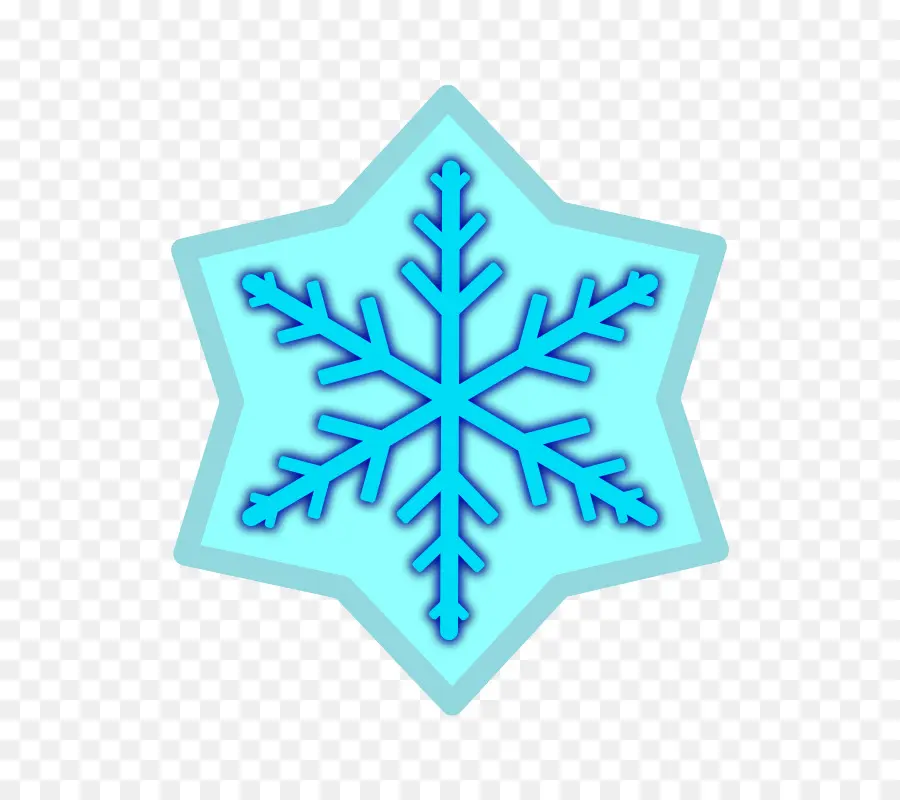 Iconos De Equipo，Copo De Nieve PNG