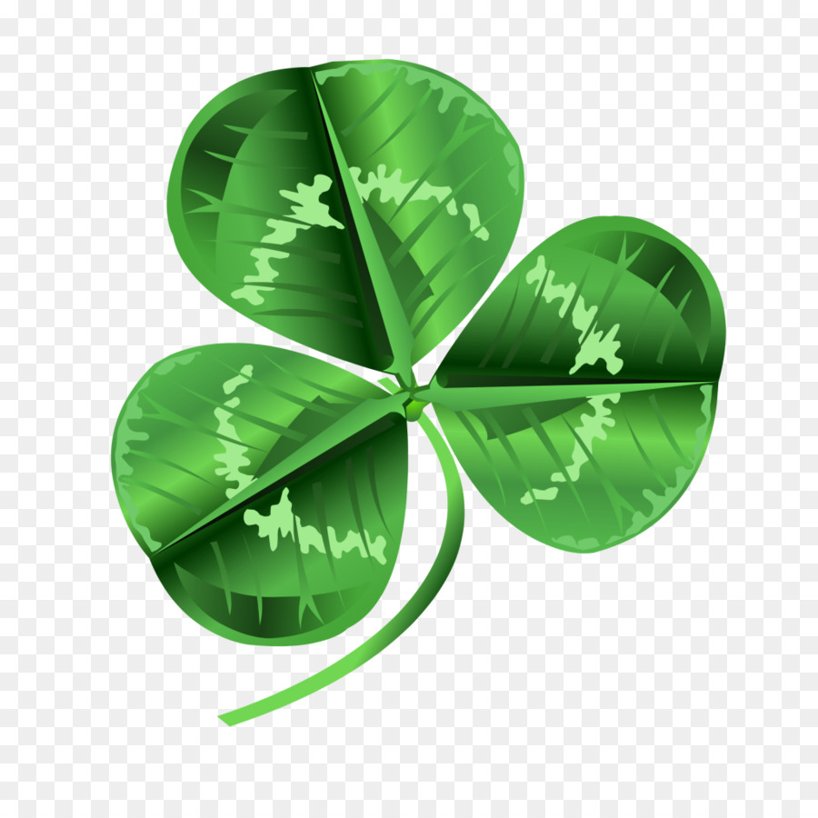 El Día De San Patricio，Shamrock PNG