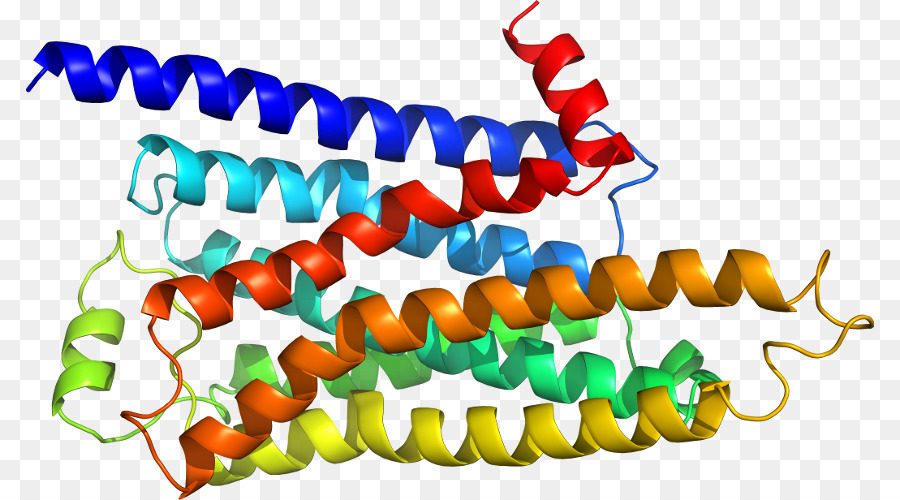 El Cuerpo De La Joyería，Joyería PNG