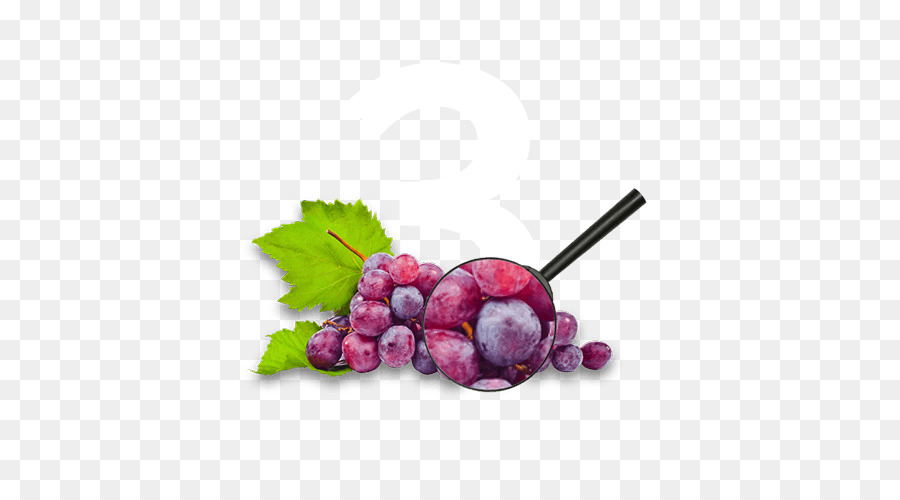 Común De La Uva De La Vid，Vino PNG