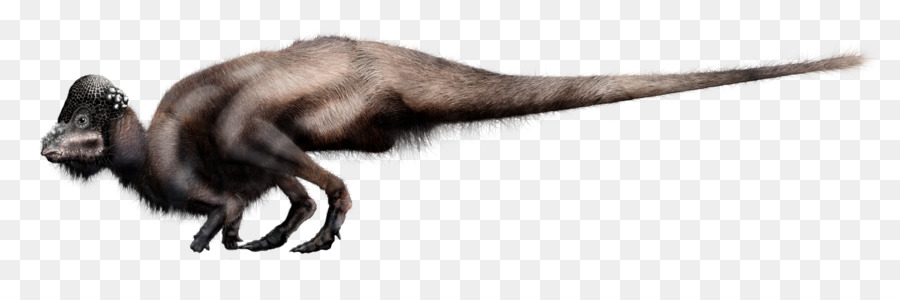 Velociraptor，Allosaurus PNG