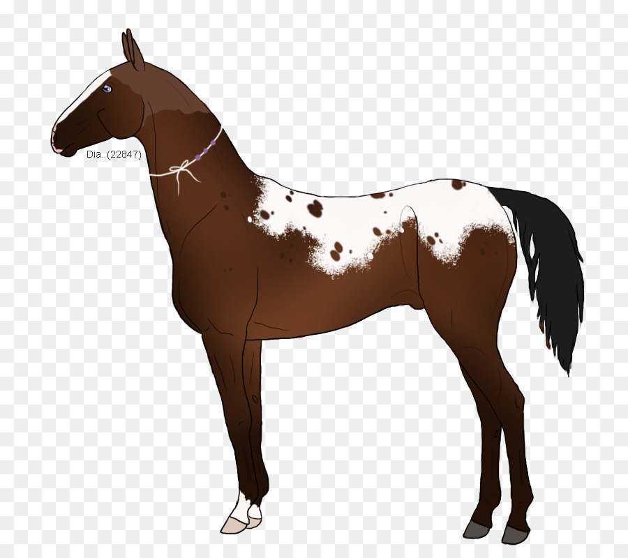 Mustang，Melena PNG