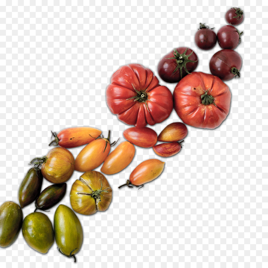 Tomates，Fruta PNG