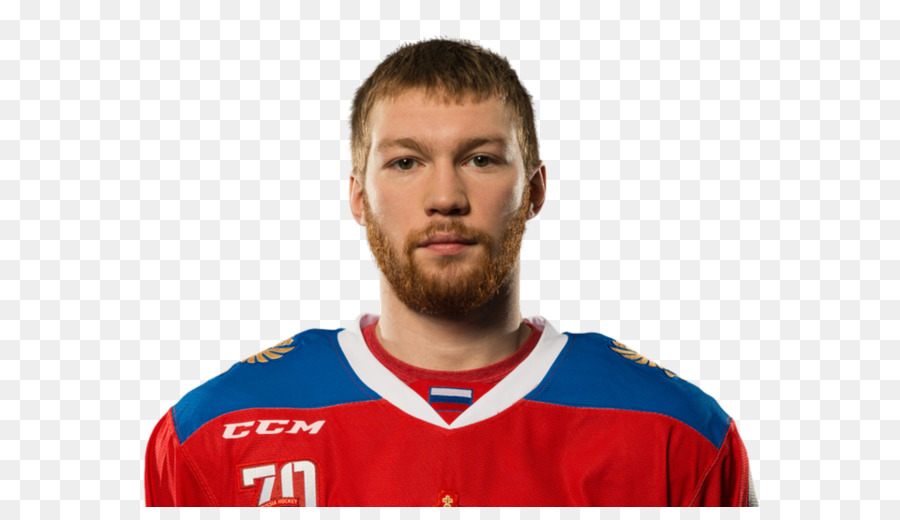 Vladislav Gavrikov，2017 Iihf Campeonato Mundial PNG