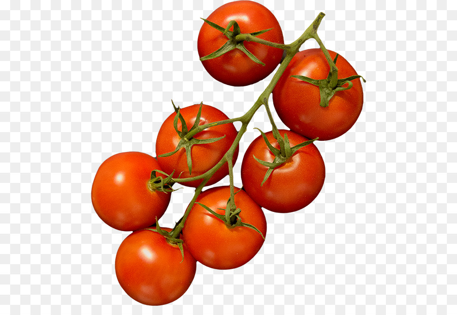 Tomate Ciruela，Bush Tomate PNG
