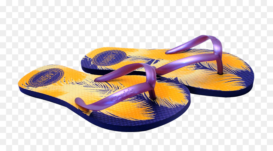 Chancletas，Zapatilla PNG