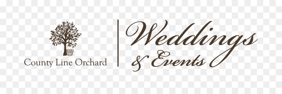 Logotipo，Mi Boda Con La Verdad PNG