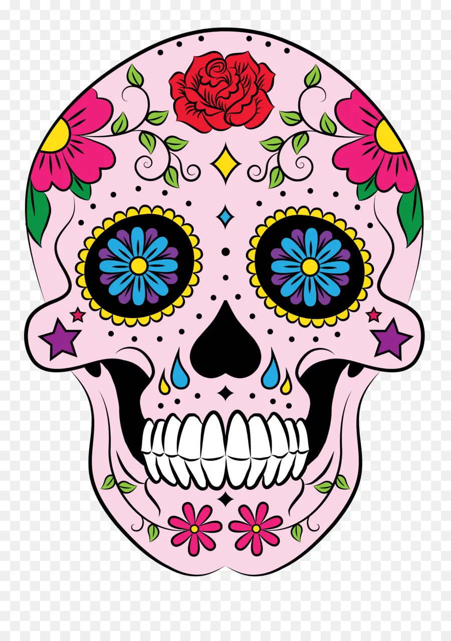 Calavera，Camiseta PNG