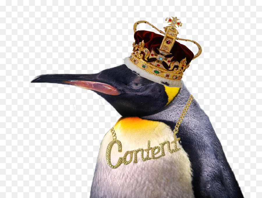 Pingüino Rey，Magdalena PNG