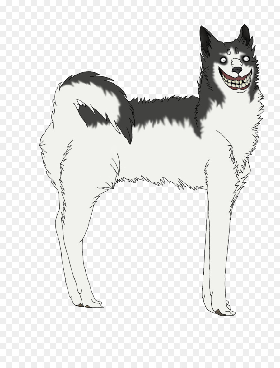 Husky Siberiano，Canaán Perro PNG