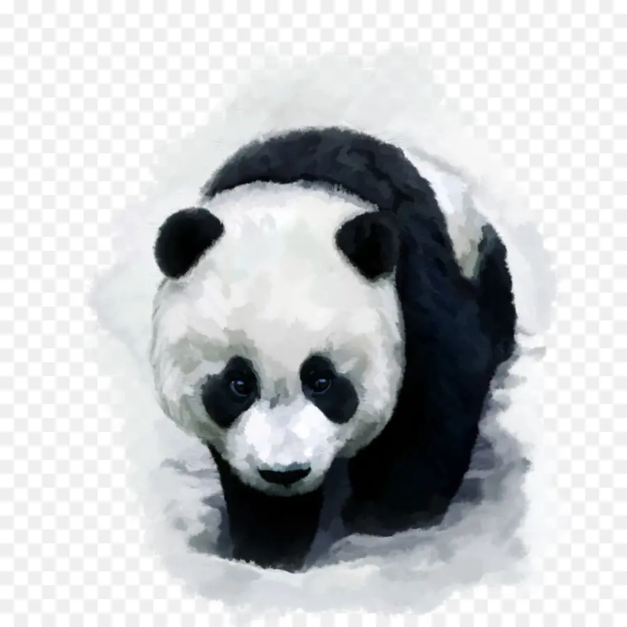 Panda，Oso PNG