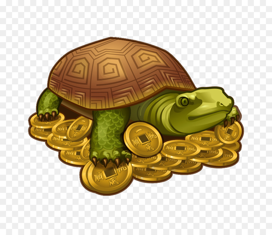 Las Tortugas De Caja，Tortuga PNG