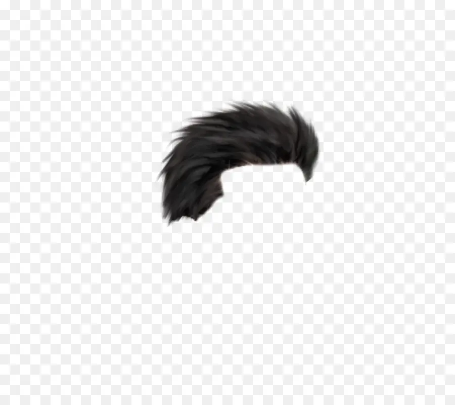 Pelo Negro，Peinado PNG